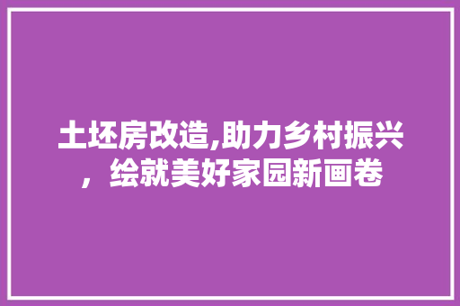 土坯房改造,助力乡村振兴，绘就美好家园新画卷