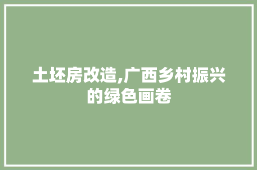 土坯房改造,广西乡村振兴的绿色画卷 建筑设计