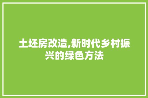 土坯房改造,新时代乡村振兴的绿色方法