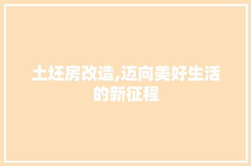 土坯房改造,迈向美好生活的新征程 装修材料