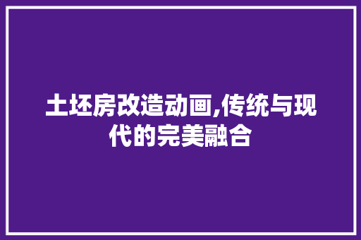土坯房改造动画,传统与现代的完美融合 建筑设计