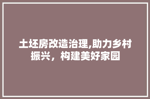 土坯房改造治理,助力乡村振兴，构建美好家园