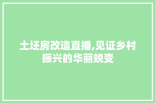土坯房改造直播,见证乡村振兴的华丽蜕变
