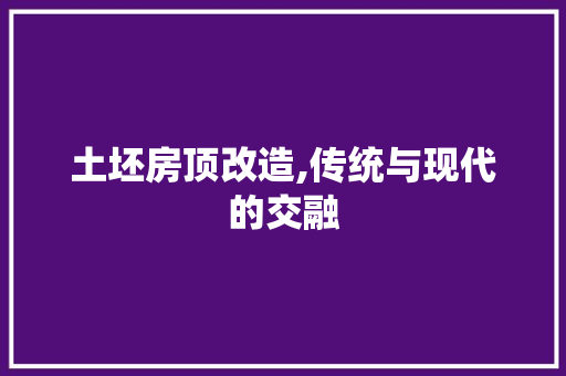 土坯房顶改造,传统与现代的交融