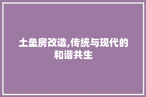 土垒房改造,传统与现代的和谐共生