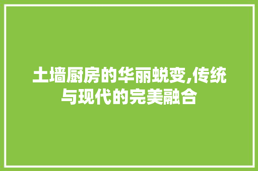 土墙厨房的华丽蜕变,传统与现代的完美融合