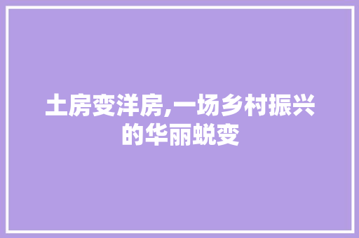土房变洋房,一场乡村振兴的华丽蜕变 建筑设计