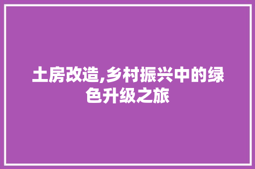 土房改造,乡村振兴中的绿色升级之旅