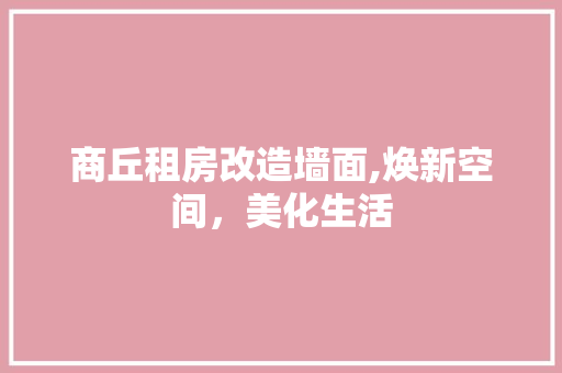 商丘租房改造墙面,焕新空间，美化生活