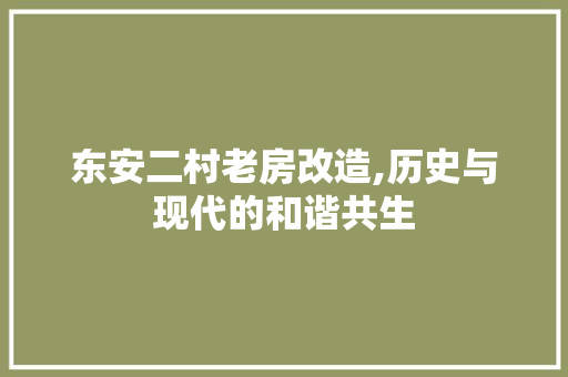 东安二村老房改造,历史与现代的和谐共生