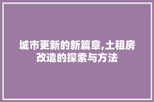 城市更新的新篇章,土租房改造的探索与方法