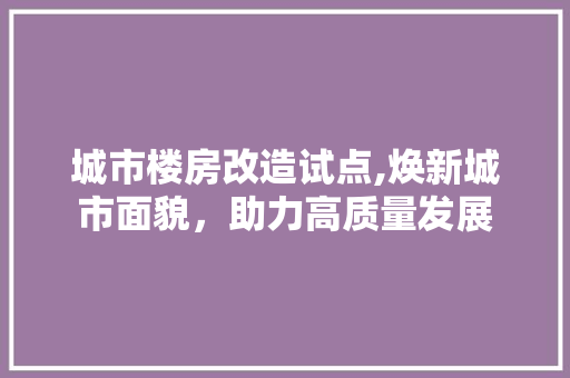 城市楼房改造试点,焕新城市面貌，助力高质量发展