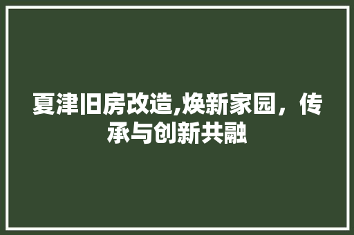夏津旧房改造,焕新家园，传承与创新共融