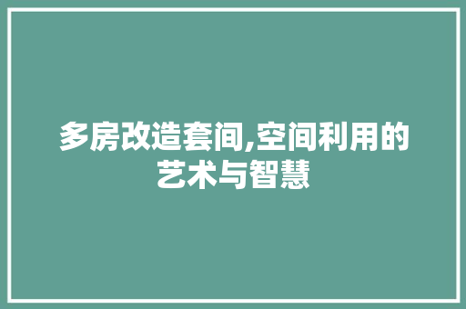 多房改造套间,空间利用的艺术与智慧