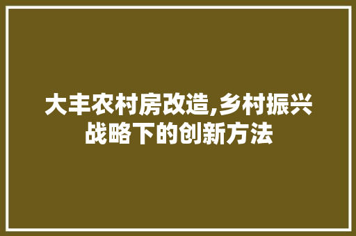 大丰农村房改造,乡村振兴战略下的创新方法 墙面装饰