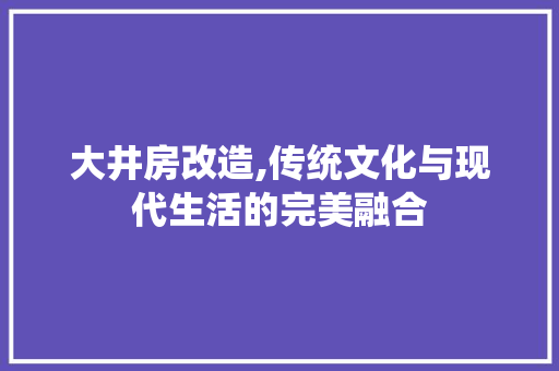 大井房改造,传统文化与现代生活的完美融合 装修攻略