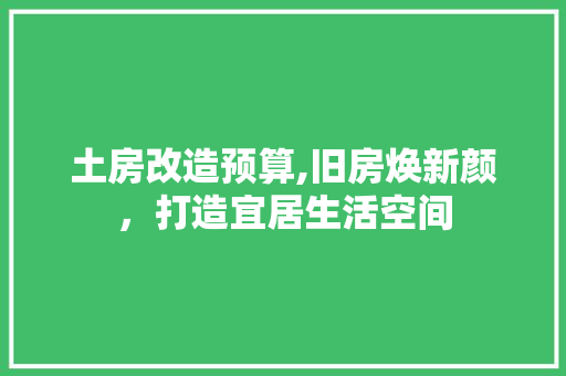 土房改造预算,旧房焕新颜，打造宜居生活空间