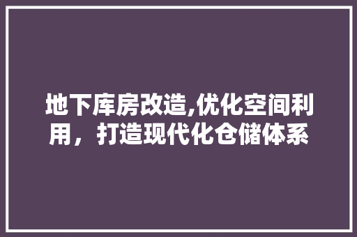 地下库房改造,优化空间利用，打造现代化仓储体系
