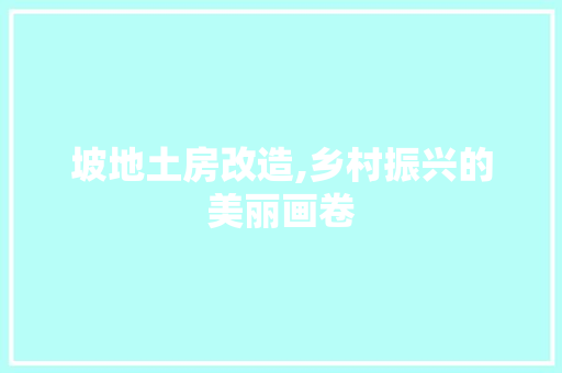 坡地土房改造,乡村振兴的美丽画卷