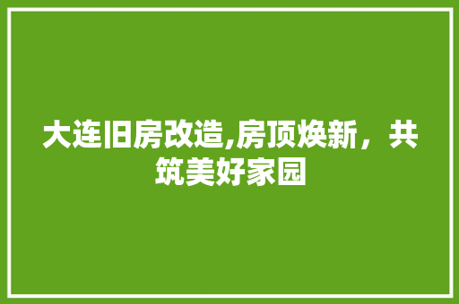 大连旧房改造,房顶焕新，共筑美好家园