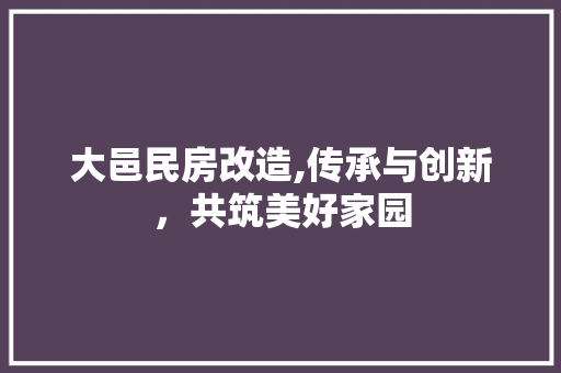 大邑民房改造,传承与创新，共筑美好家园