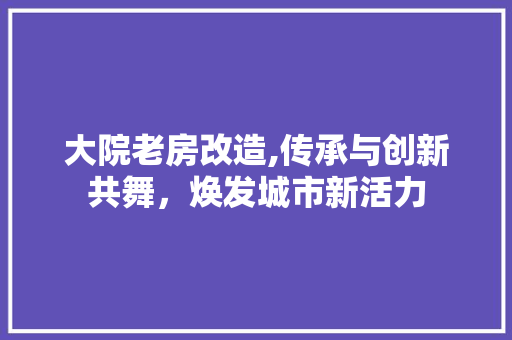 大院老房改造,传承与创新共舞，焕发城市新活力 建筑设计