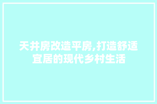 天井房改造平房,打造舒适宜居的现代乡村生活 装修攻略