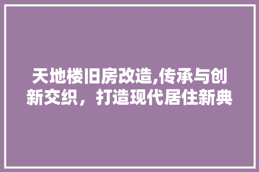 天地楼旧房改造,传承与创新交织，打造现代居住新典范