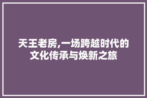 天王老房,一场跨越时代的文化传承与焕新之旅