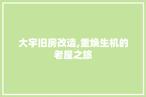 大宇旧房改造,重焕生机的老屋之旅