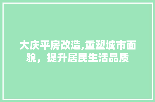 大庆平房改造,重塑城市面貌，提升居民生活品质