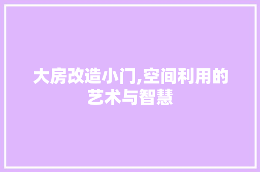 大房改造小门,空间利用的艺术与智慧 装修攻略