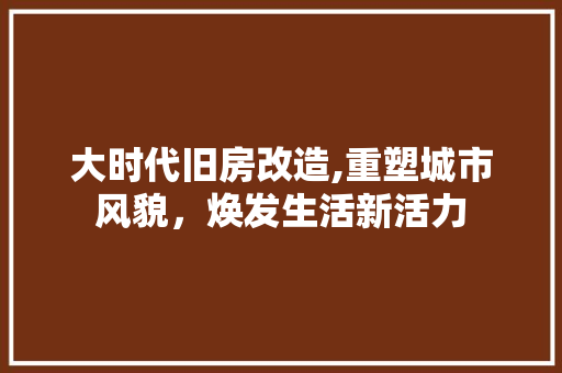 大时代旧房改造,重塑城市风貌，焕发生活新活力