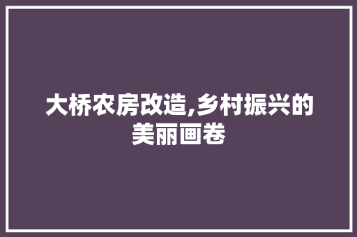 大桥农房改造,乡村振兴的美丽画卷 建筑设计