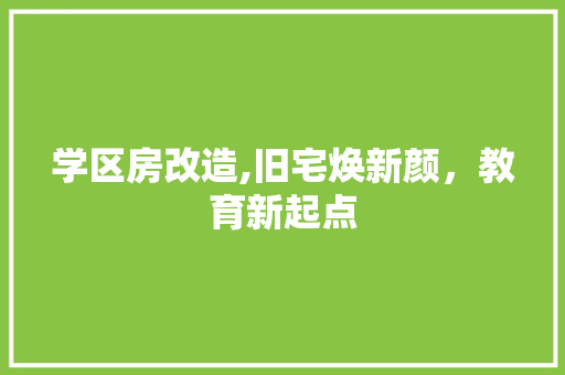 学区房改造,旧宅焕新颜，教育新起点