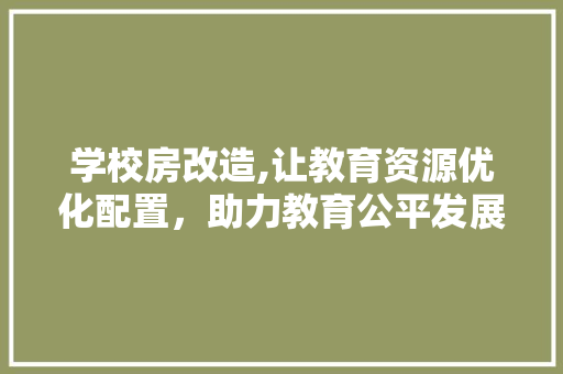 学校房改造,让教育资源优化配置，助力教育公平发展