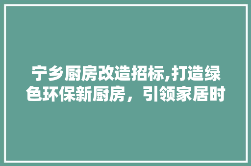 宁乡厨房改造招标,打造绿色环保新厨房，引领家居时尚潮流