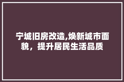 宁城旧房改造,焕新城市面貌，提升居民生活品质 建筑设计