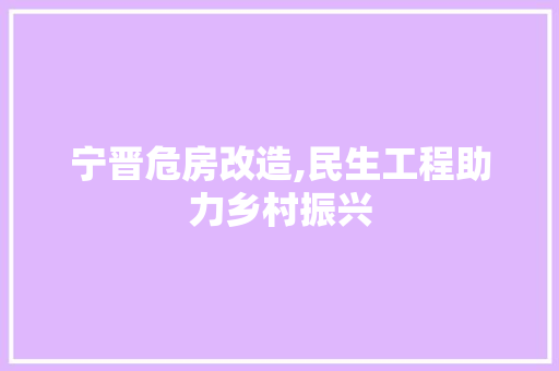 宁晋危房改造,民生工程助力乡村振兴 隔断设计