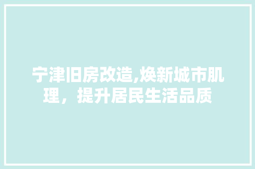 宁津旧房改造,焕新城市肌理，提升居民生活品质