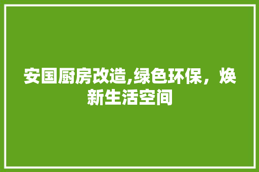 安国厨房改造,绿色环保，焕新生活空间 装修攻略