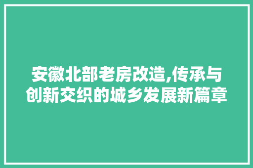 安徽北部老房改造,传承与创新交织的城乡发展新篇章