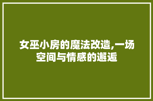 女巫小房的魔法改造,一场空间与情感的邂逅