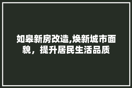 如皋新房改造,焕新城市面貌,提升居民生活品质