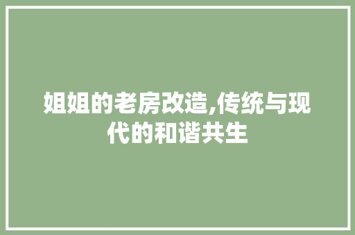 姐姐的老房改造,传统与现代的和谐共生