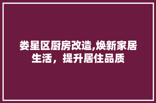 娄星区厨房改造,焕新家居生活，提升居住品质