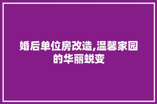 婚后单位房改造,温馨家园的华丽蜕变