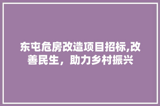 东屯危房改造项目招标,改善民生，助力乡村振兴