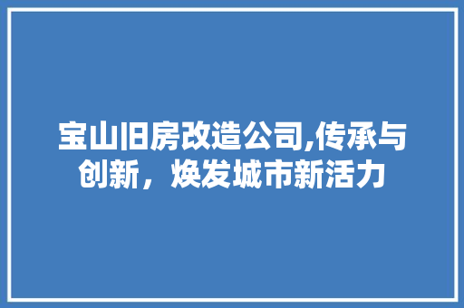 宝山旧房改造公司,传承与创新，焕发城市新活力