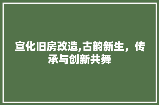 宣化旧房改造,古韵新生，传承与创新共舞